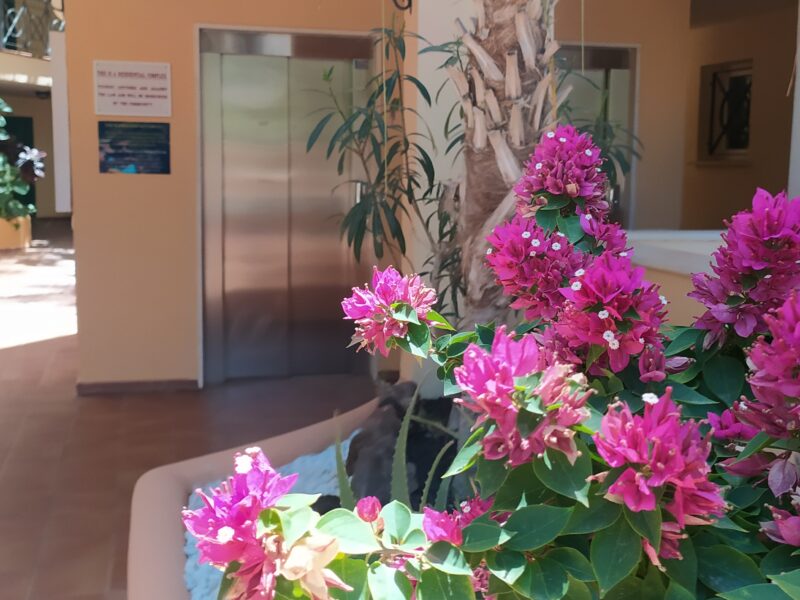 Studio apartment in Parque Tropical, Los Cristianos